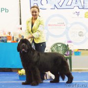 Превью фото № 216836