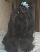 Превью фото № 216839