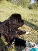 Превью фото № 216944