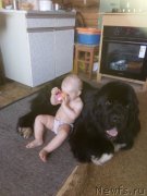 Превью фото № 216945