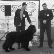 Превью фото № 216964