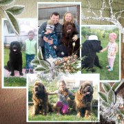 Превью фото № 217014