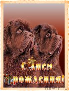 Превью фото № 217017