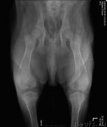 Превью фото № 217188