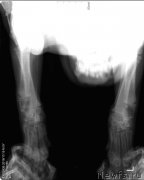 Превью фото № 217189