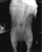 Превью фото № 217190