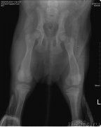 Превью фото № 217194