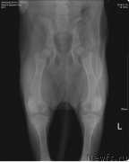 Превью фото № 217196