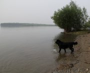 Превью фото № 217241