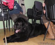 Превью фото № 217251