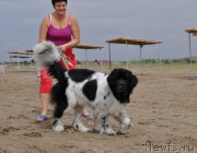 Превью фото № 217307