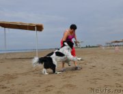 Превью фото № 217308