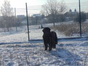 Превью фото № 217333