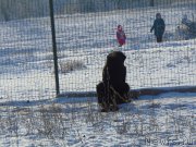 Превью фото № 217335