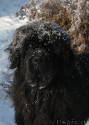 Превью фото № 217377