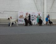 Превью фото № 217464