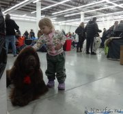 Превью фото № 217467