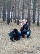 Превью фото № 217483