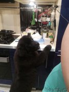 Превью фото № 217512