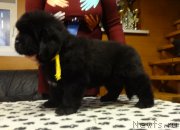 Превью фото № 217538