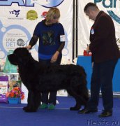 Превью фото № 217548