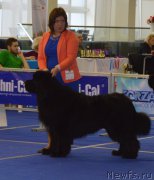 Превью фото № 217549