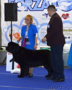 Превью фото № 217557