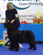 Превью фото № 217559