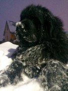 Превью фото № 217563