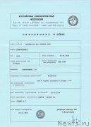 Превью фото № 217569