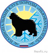 Превью фото № 217654