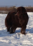 Превью фото № 217811