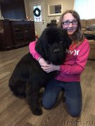 Превью фото № 217856