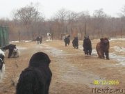 Превью фото № 217890