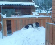 Превью фото № 217911