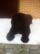 Превью фото № 217927