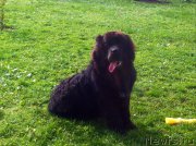 Превью фото № 217931