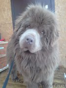 Превью фото № 217996