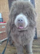 Превью фото № 217997