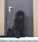 Превью фото № 218011