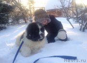 Превью фото № 218077