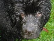 Превью фото № 218079