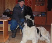 Превью фото № 218090