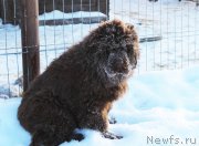 Превью фото № 218136