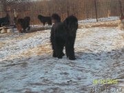 Превью фото № 218138