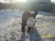 Превью фото № 218149