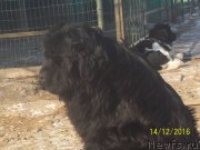 Превью фото № 218150