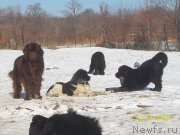 Превью фото № 218153