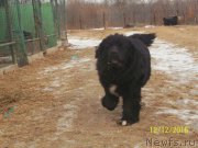 Превью фото № 218155