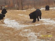 Превью фото № 218156